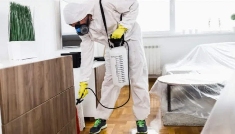 preventative pest control