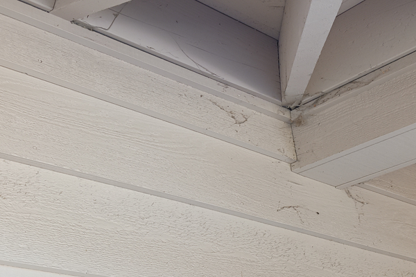 best way to remove exterior cobwebs
