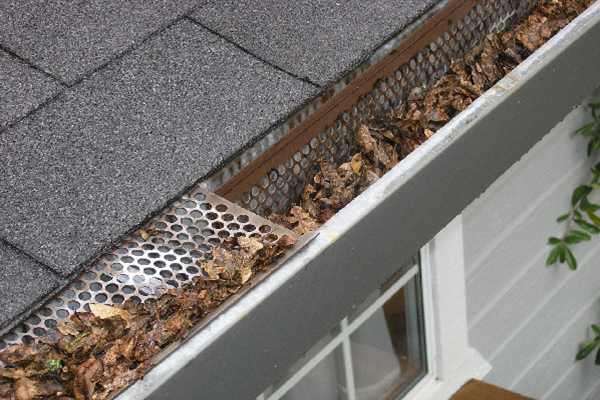 cleaning gutters