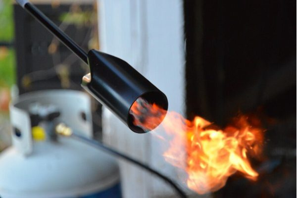 flame torch weeding