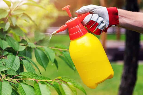 organic pest control