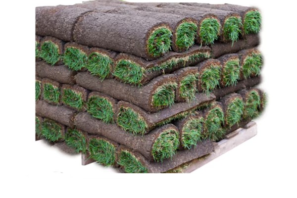 sod on pallet
