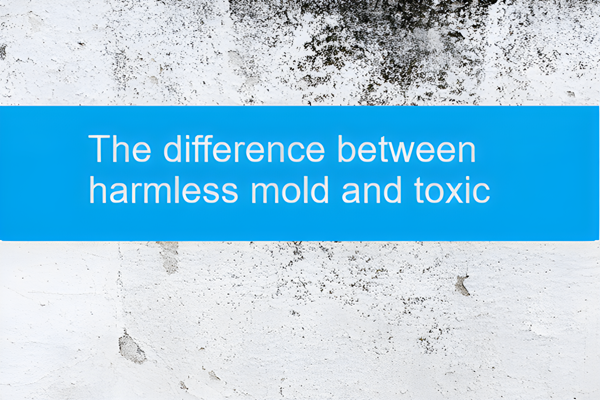 toxic or non toxic mold